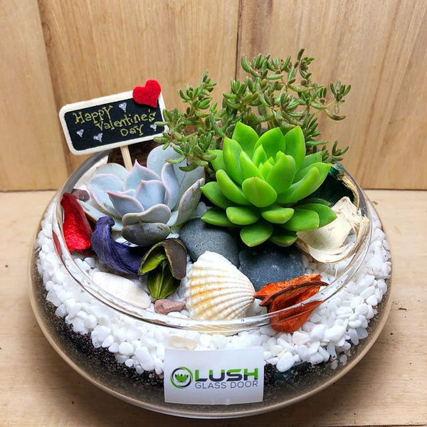 Customized Alluring Gracelyn Succulents Arrangement Mid Range Terrarium by Lush Glass Door Singapore