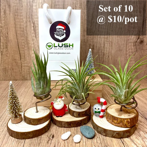 Christmas Themed Cute Wood Stump Airplant Holder with Figurines