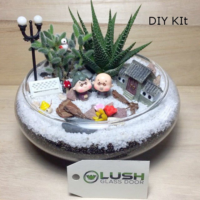 diy succulent glass bowl Succulent Terrarium DIY Kit (Small Glass Flat Bowl) – Lush Glass Door