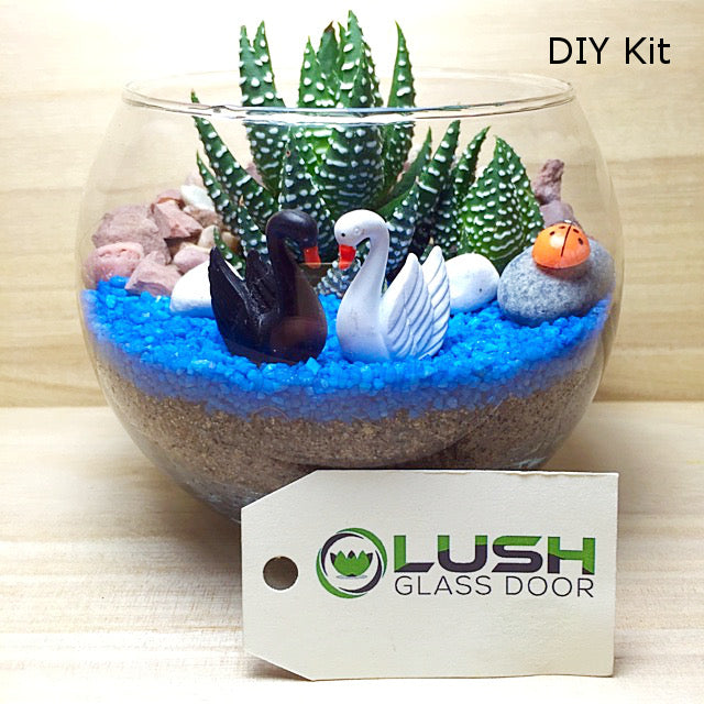 diy succulent glass bowl Succulent Terrarium DIY Kit (Medium Glass Bowl) – Lush Glass Door
