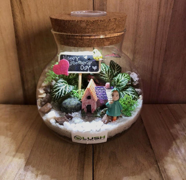 Customized Mother's Day Themed Fittonia Terrarium with Light  with Light by Lush Glass Door Singapore