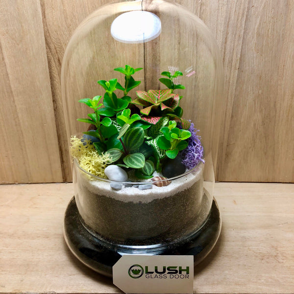 Customized Gerri Mini Forest Dome Terrarium (L) by Lush Glass Door Singapore