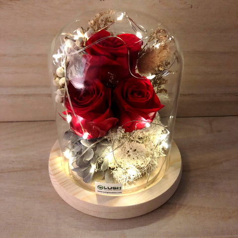 Kelsey Eternal Rose Preserved Flower Glass Dome (Fairy Light)