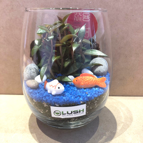 Customized Hallie Auspicious Succulent Terrarium by Lush Glass Door Singapore 