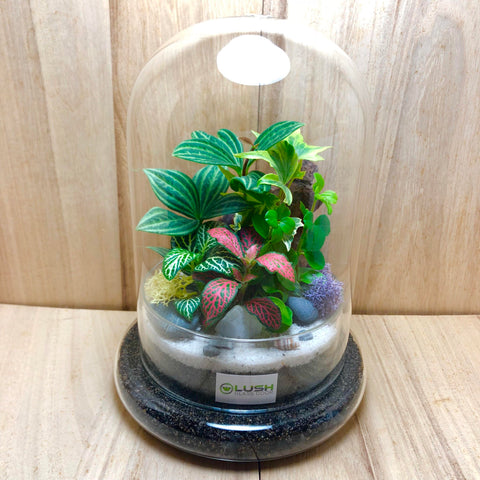 Customized Passion Mini Forest Dome Terrarium (L) by Lush Glass Door Singapore